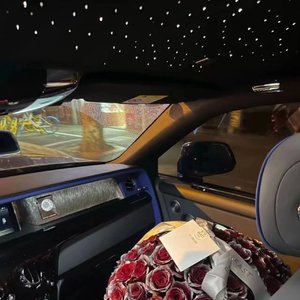 有免费的成人av在线网站
