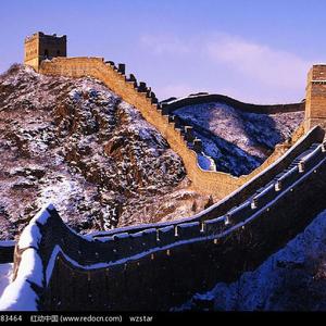 有免费的成人av在线网站
