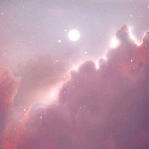 有免费的成人av在线网站
